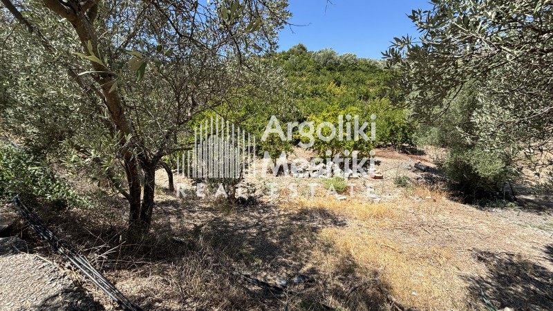 Αγροτεμάχια 15.000 τ.μ. πρός πώληση, Αργολίδα, Ασίνη