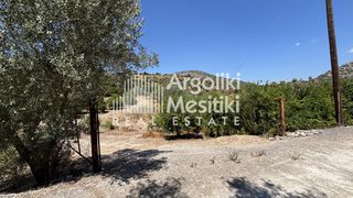 Αγροτεμάχια 15.000 τ.μ. για πώληση
