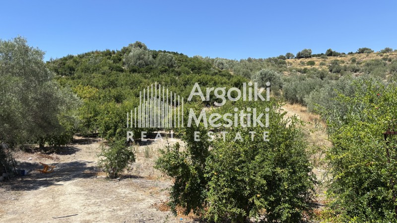 Αγροτεμάχια 15.000 τ.μ. πρός πώληση, Αργολίδα, Ασίνη
