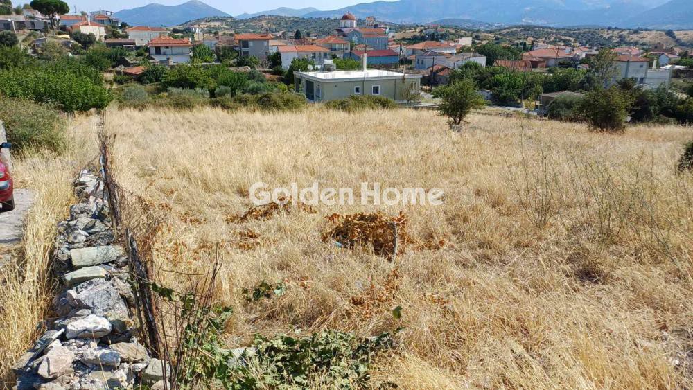 Οικόπεδο 2.919 τ.μ. προς πώληση, Κριεζά