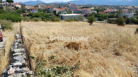Οικόπεδο 2.919 τ.μ. προς πώληση