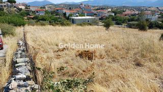 Οικόπεδο 2.919 τ.μ. για πώληση