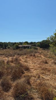 Οικόπεδο 3.340 τ.μ. προς πώληση