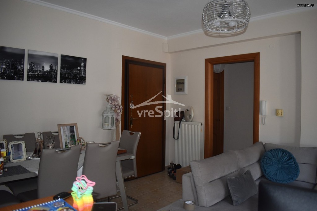 Διαμέρισμα 65 τ.μ. πρός ενοικίαση, Ν. Ιωαννίνων, Μολοσσοί
