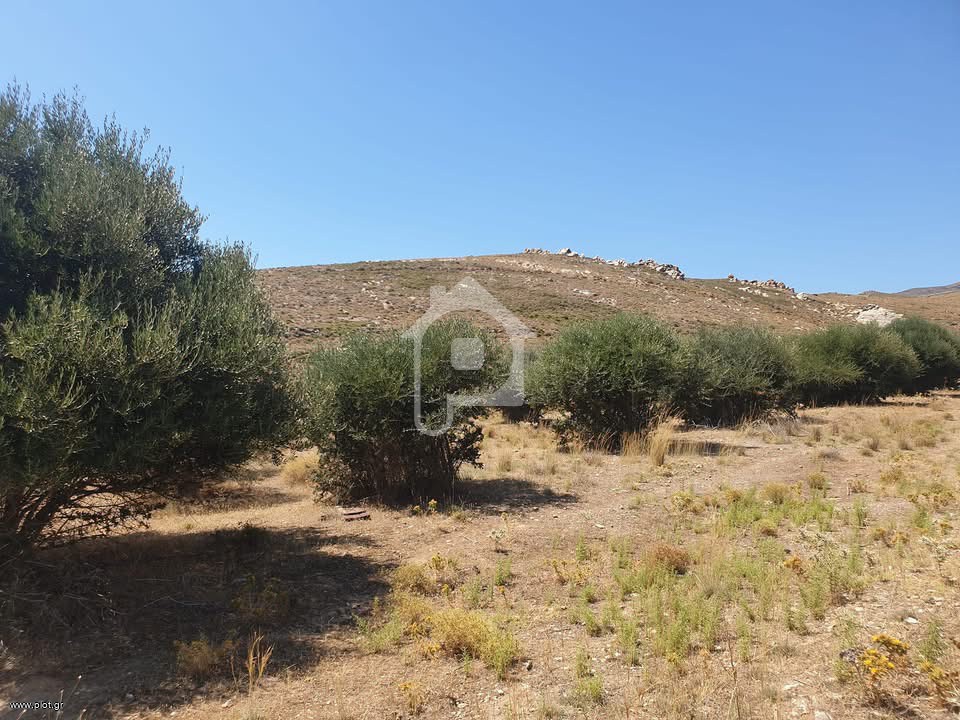 Οικόπεδο 4.000 τ.μ. προς πώληση, Καστρί Καρύστου