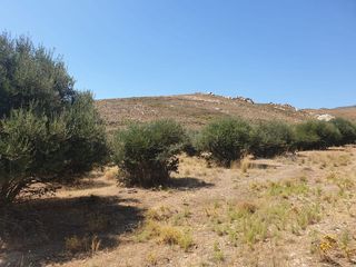 Οικόπεδο 4.000 τ.μ. για πώληση, Εύβοια, Κάρυστος-thumb-2