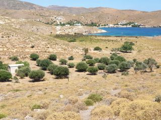 Οικόπεδο 4.000 τ.μ. για πώληση, Εύβοια, Κάρυστος-thumb-3