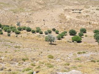 Οικόπεδο 4.000 τ.μ. για πώληση, Εύβοια, Κάρυστος-thumb-8