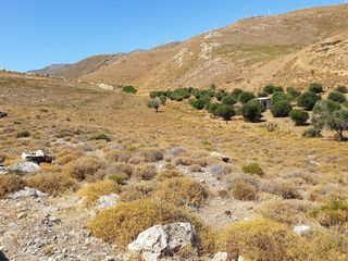 Οικόπεδο 4.000 τ.μ. για πώληση, Εύβοια, Κάρυστος-thumb-9