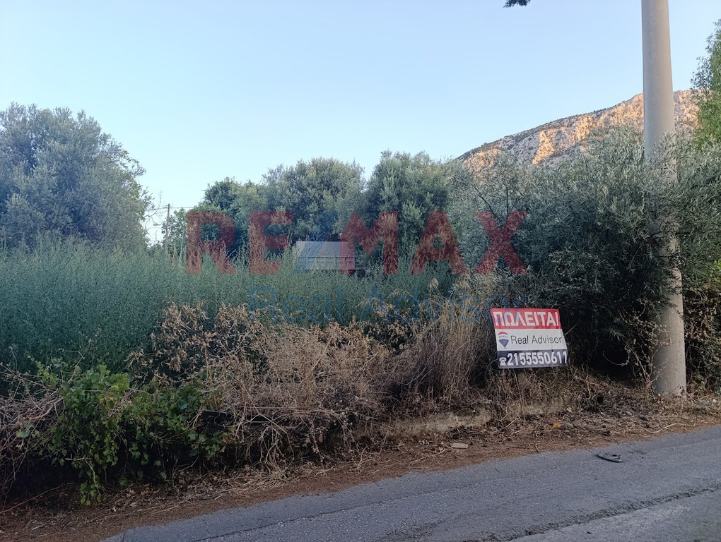 Οικόπεδο 1.231 τ.μ. προς πώληση, Αυλώνα Αττικής
