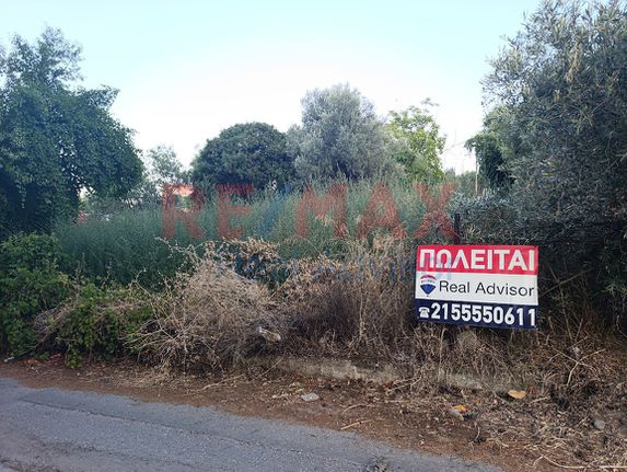 Οικόπεδο 1.231 τ.μ. για πώληση, Αττική - Υπόλοιπο, Αυλώνα