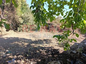 Οικόπεδο 1.231 τ.μ. για πώληση, Αττική - Υπόλοιπο, Αυλώνα-thumb-8