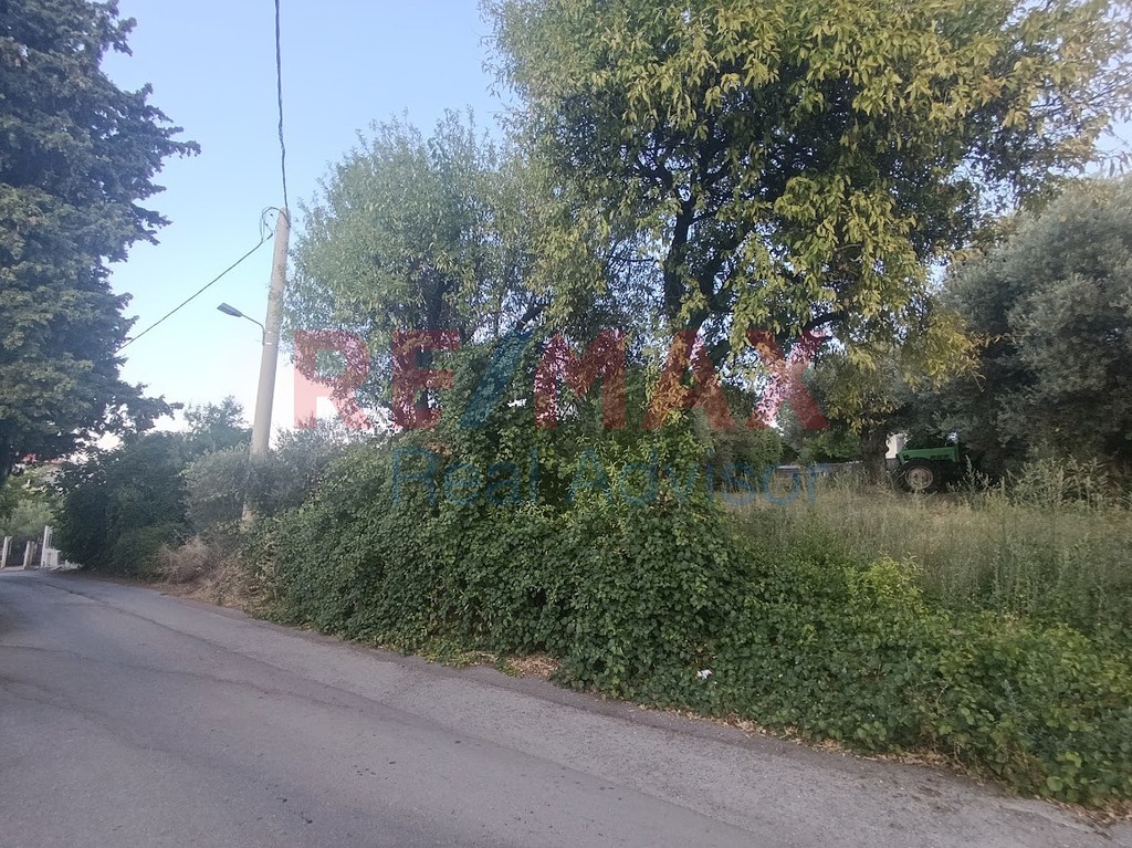 Οικόπεδο 1.231 τ.μ. προς πώληση, Αυλώνα Αττικής