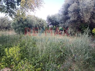 Οικόπεδο 1.231 τ.μ. για πώληση, Αττική - Υπόλοιπο, Αυλώνα-thumb-4