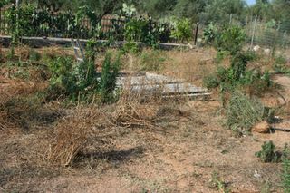 Οικόπεδο 2.900 τ.μ. πρός πώληση, Μεσσηνία, Άριο-thumb-16