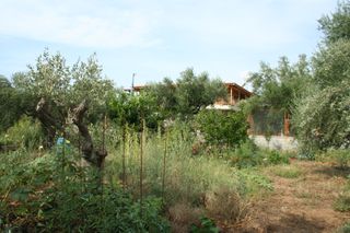 Οικόπεδο 2.900 τ.μ. πρός πώληση, Μεσσηνία, Άριο-thumb-17