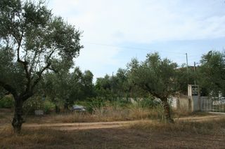 Οικόπεδο 2.900 τ.μ. πρός πώληση, Μεσσηνία, Άριο-thumb-18