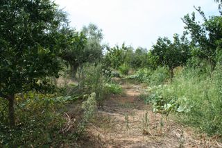 Οικόπεδο 2.900 τ.μ. πρός πώληση, Μεσσηνία, Άριο-thumb-22