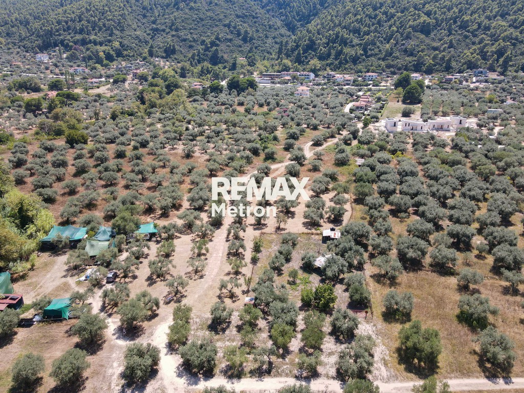 Αγροτεμάχια 1.160 τ.μ. πρός πώληση, Χαλκιδική, Σιθωνία