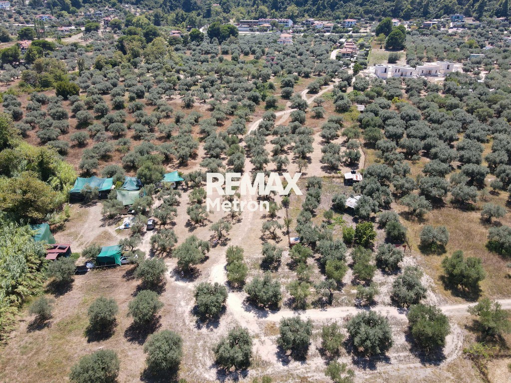Αγροτεμάχια 1.160 τ.μ. πρός πώληση, Χαλκιδική, Σιθωνία
