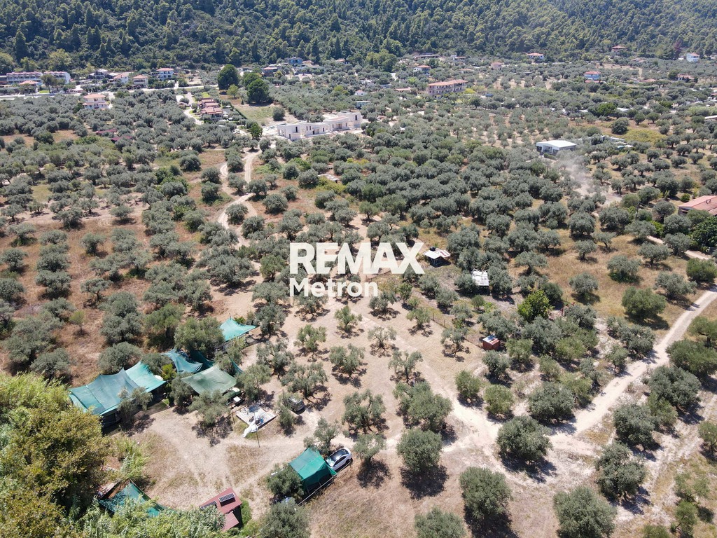 Αγροτεμάχια 1.160 τ.μ. πρός πώληση, Χαλκιδική, Σιθωνία