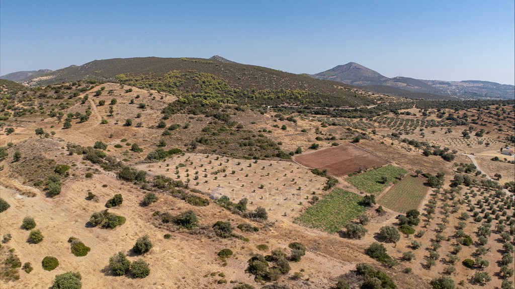 Αγροτεμάχια 9.481 τ.μ. προς πώληση, Φούρνοι Κρανιδίου