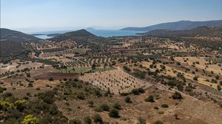 Αγροτεμάχια 9.481 τ.μ. για πώληση