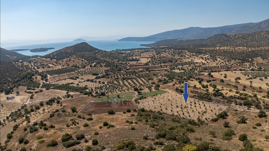 Αγροτεμάχια 9.481 τ.μ. προς πώληση, Φούρνοι Κρανιδίου