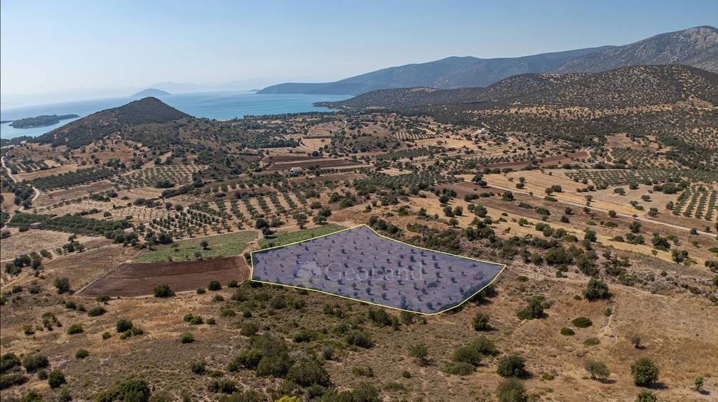 Αγροτεμάχια 9.481 τ.μ. προς πώληση, Φούρνοι Κρανιδίου