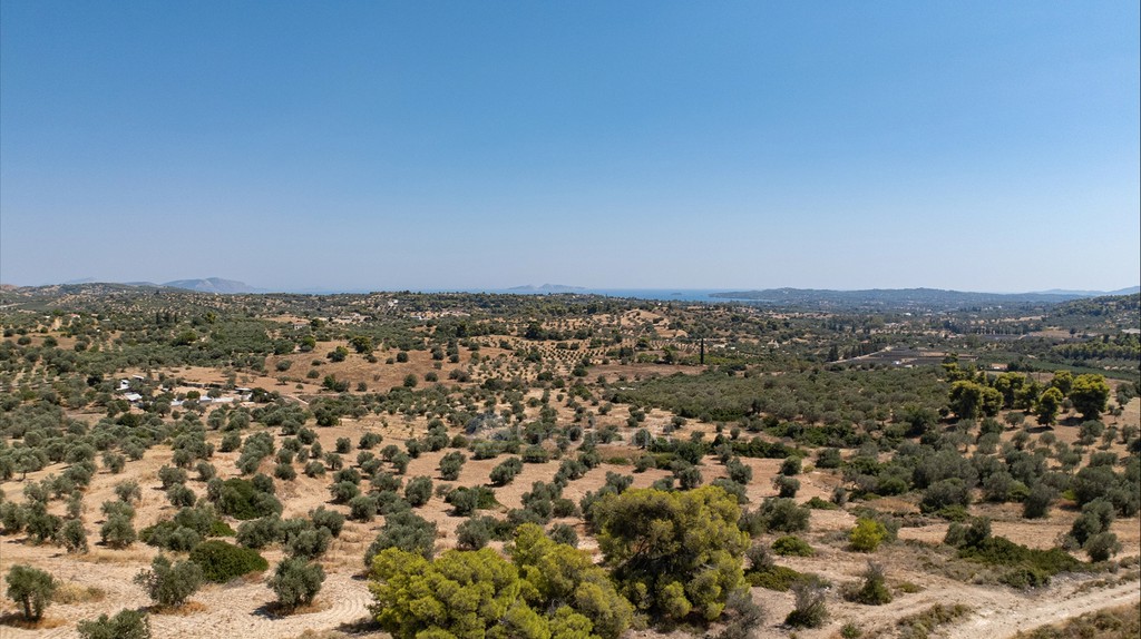 Αγροτεμάχια 27.853 τ.μ. προς πώληση, Βερβερούδα