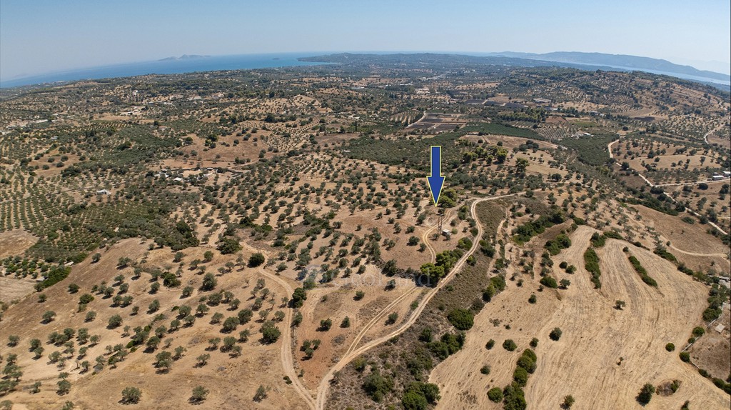 Αγροτεμάχια 27.853 τ.μ. προς πώληση, Βερβερούδα