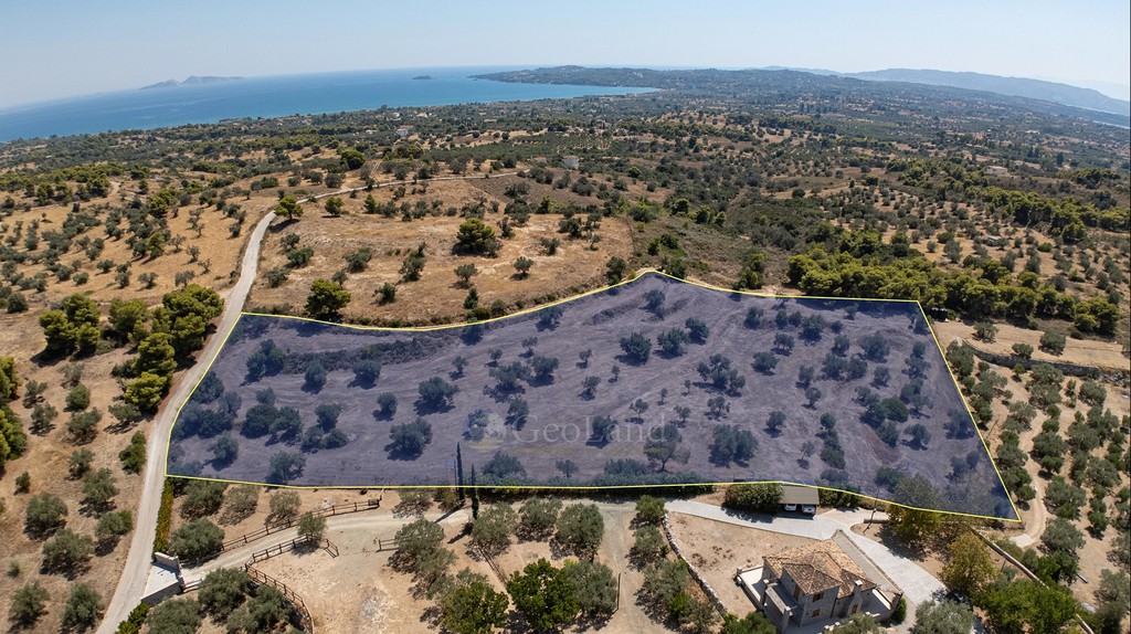 Αγροτεμάχια 14.100 τ.μ. προς πώληση, Πετροθάλασσα