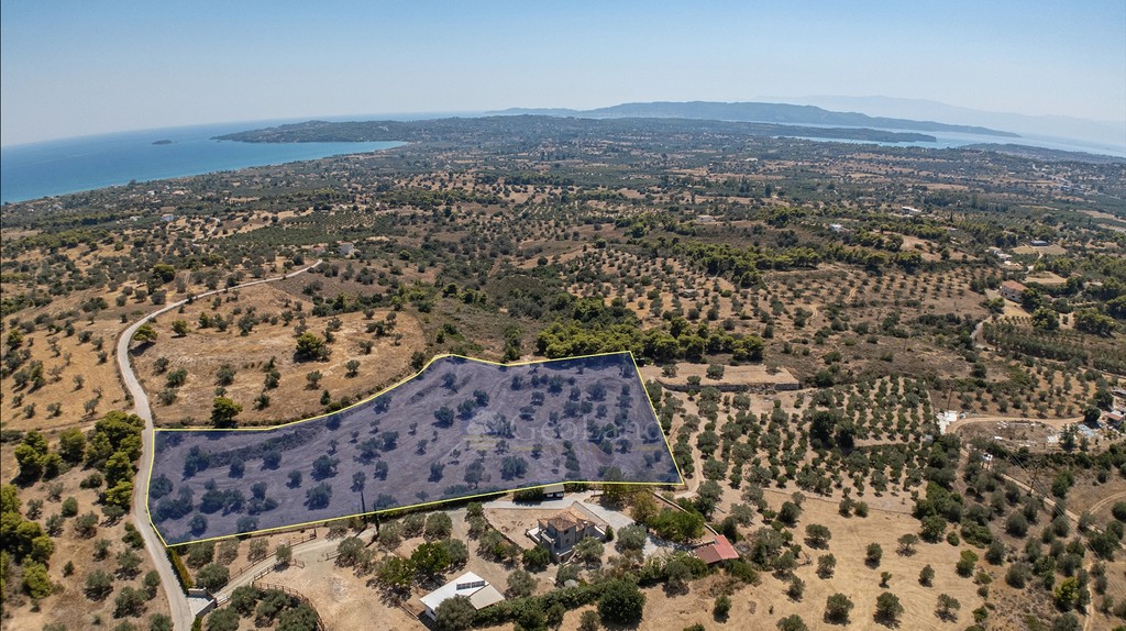 Αγροτεμάχια 14.100 τ.μ. προς πώληση, Πετροθάλασσα