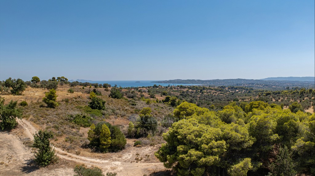 Αγροτεμάχια 14.100 τ.μ. προς πώληση, Πετροθάλασσα