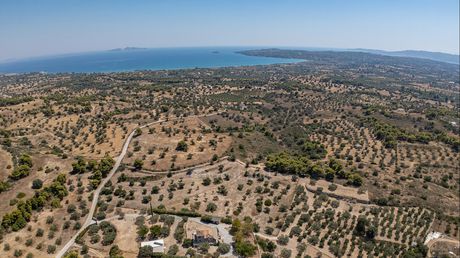 Αγροτεμάχια 14.100 τ.μ. προς πώληση