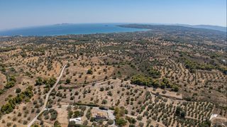 Αγροτεμάχια 14.100 τ.μ. για πώληση