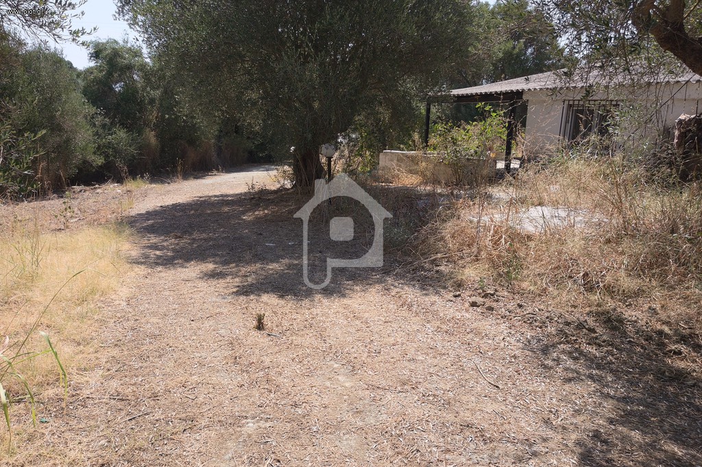 Αγροτεμάχια 8.641 τ.μ. πρός πώληση, Λακωνία, Γύθειο