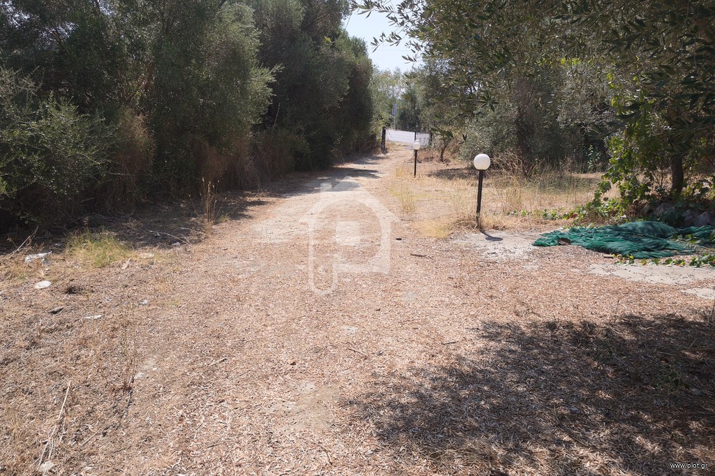 Αγροτεμάχια 8.641 τ.μ. πρός πώληση, Λακωνία, Γύθειο