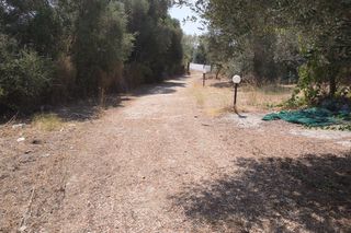 Αγροτεμάχια 8.641 τ.μ. για πώληση
