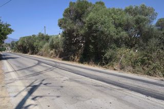 Αγροτεμάχια 8.641 τ.μ. για πώληση