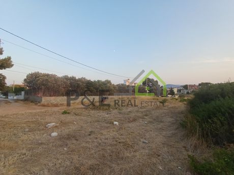 Οικόπεδο 517 τ.μ. πρός πώληση