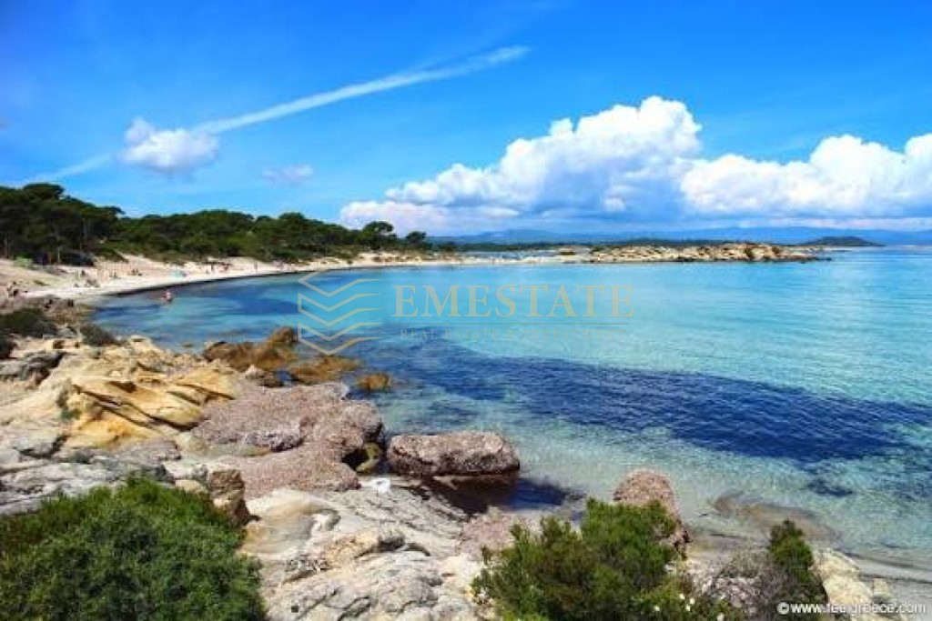 Αγροτεμάχια 6.000 τ.μ. προς πώληση, Χαλκιδική, Σιθωνία