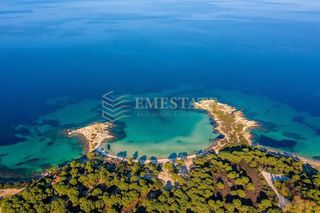 Αγροτεμάχια 6.000 τ.μ. για πώληση