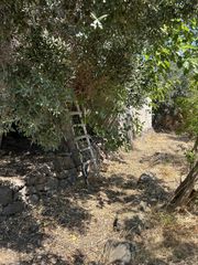 Οικόπεδο 360 τ.μ. για πώληση, Ν. Λέσβου, Λέσβος - Καλλονή-thumb-9