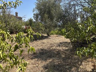 Οικόπεδο 360 τ.μ. για πώληση, Ν. Λέσβου, Λέσβος - Καλλονή-thumb-12