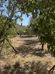 Οικόπεδο 360 τ.μ. για πώληση, Ν. Λέσβου, Λέσβος - Καλλονή-thumb-13