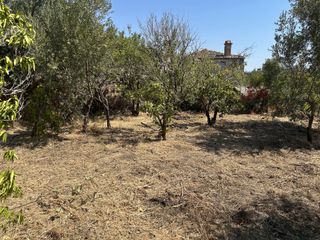 Οικόπεδο 360 τ.μ. για πώληση, Ν. Λέσβου, Λέσβος - Καλλονή-thumb-16