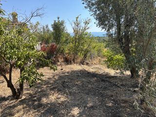 Οικόπεδο 360 τ.μ. για πώληση, Ν. Λέσβου, Λέσβος - Καλλονή-thumb-18