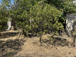 Οικόπεδο 360 τ.μ. για πώληση, Ν. Λέσβου, Λέσβος - Καλλονή-thumb-20