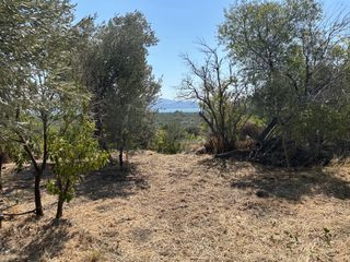 Οικόπεδο 360 τ.μ. για πώληση, Ν. Λέσβου, Λέσβος - Καλλονή-thumb-22
